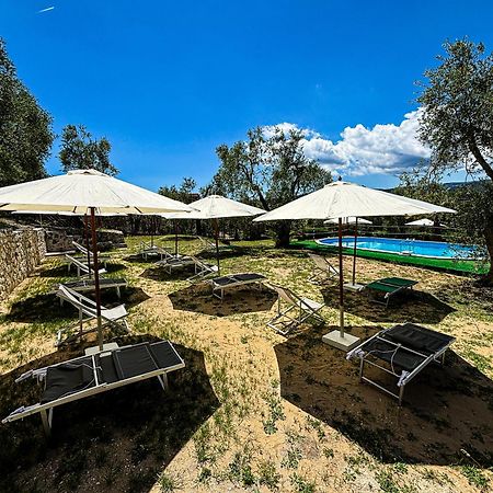 Valle Degli Ulivi B&B В'єсте Екстер'єр фото